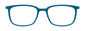 VR 17
